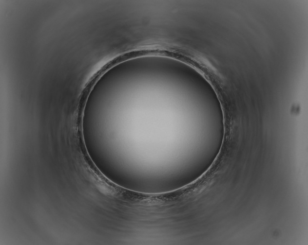 X0000091561216200708241809