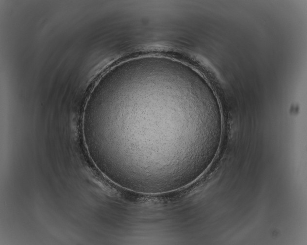 X0000091561217200708241809