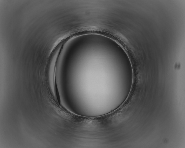 X0000091561218200708241809