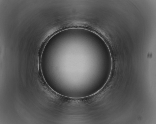 X0000091561219200708241809