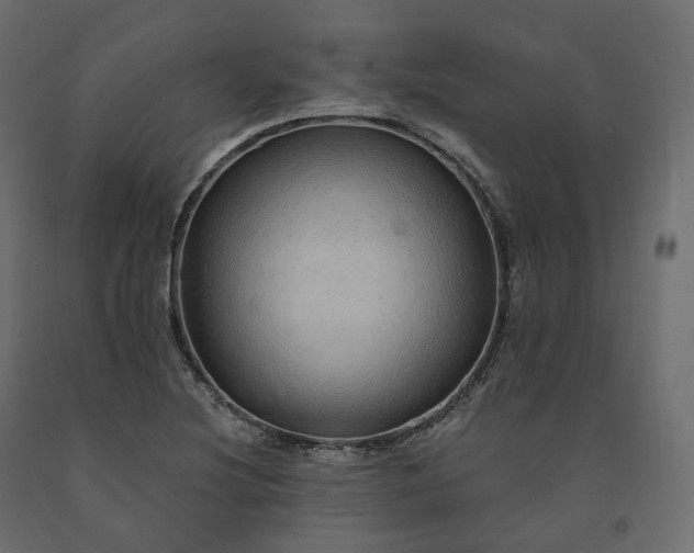 X0000091561220200708241809