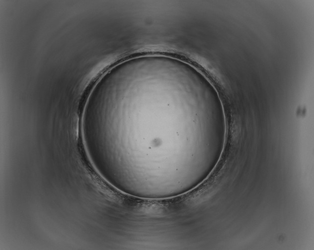 X0000091561221200708241809