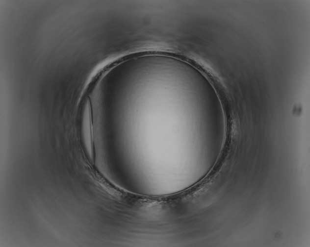 X0000091561222200708241809