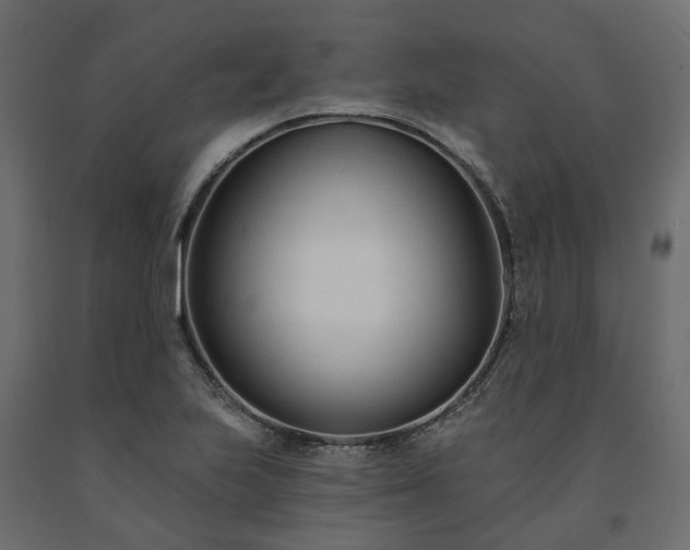 X0000091561223200708241809