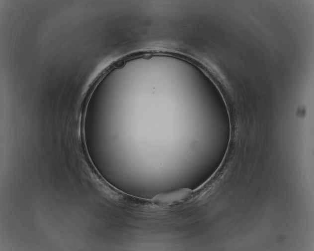 X0000091561224200708241809