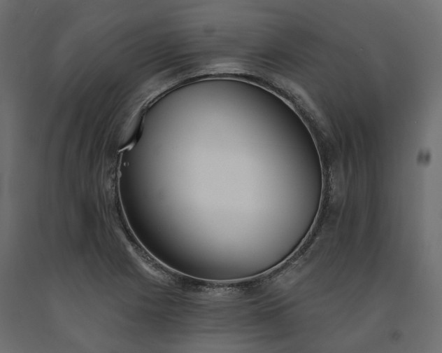 X0000091561225200708241809