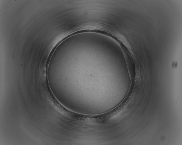 X0000091561226200708241809