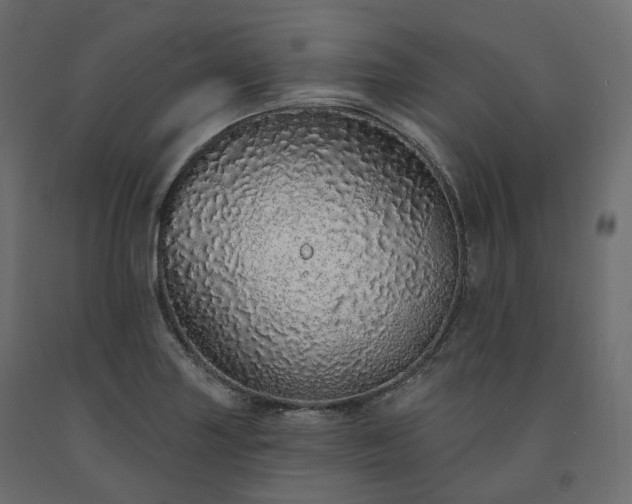 X0000091561227200708241809