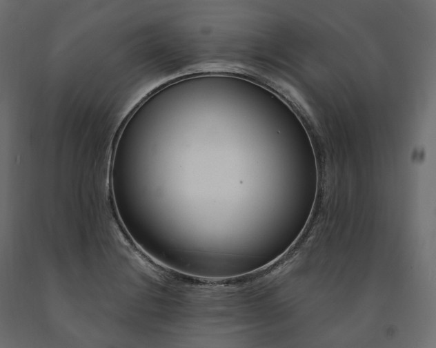 X0000091561228200708241809