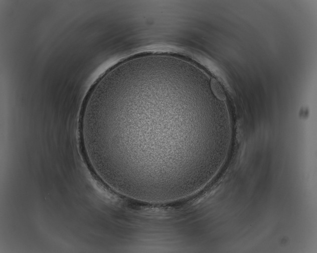 X0000091561229200708241809