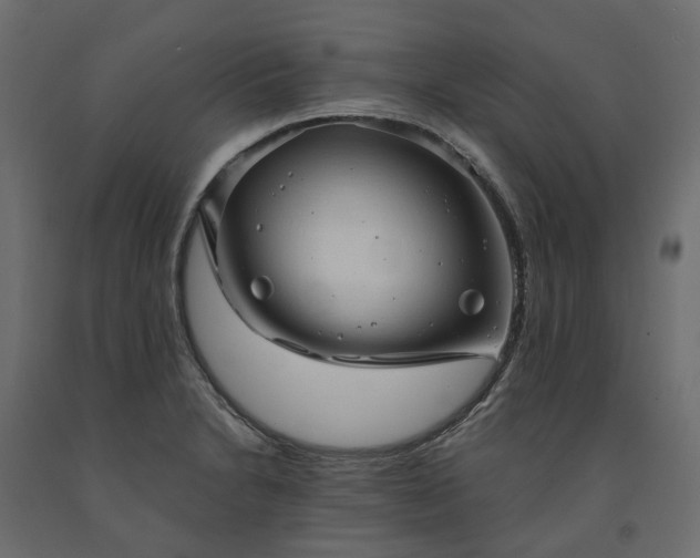 X0000091561230200708241809