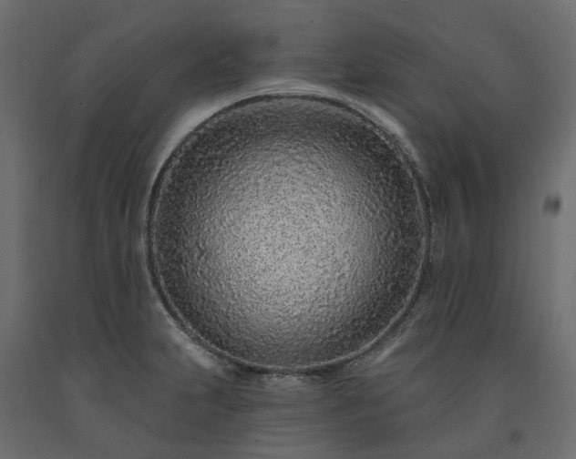 X0000091561231200708241809