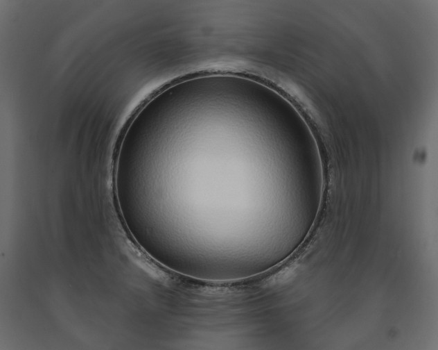 X0000091561232200708241809