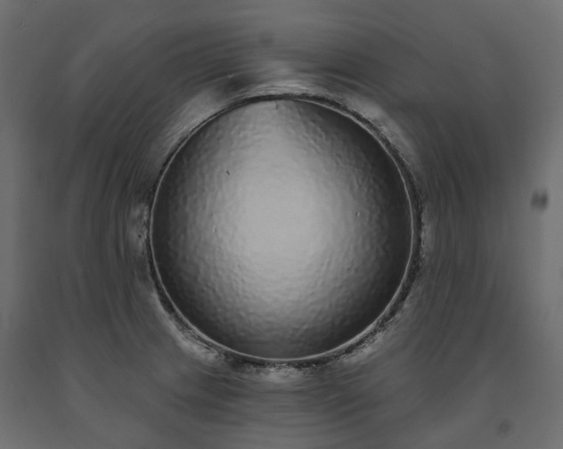 X0000091561233200708241809