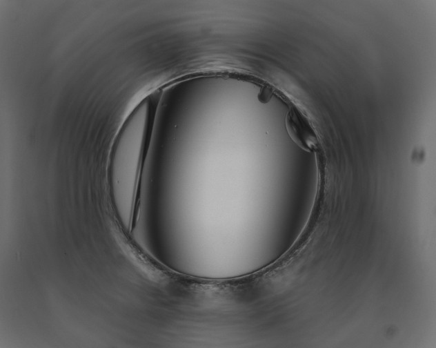 X0000091561234200708241809