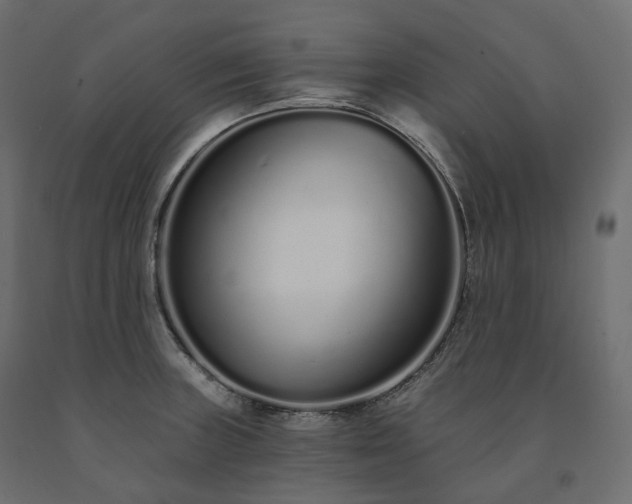 X0000091561235200708241809