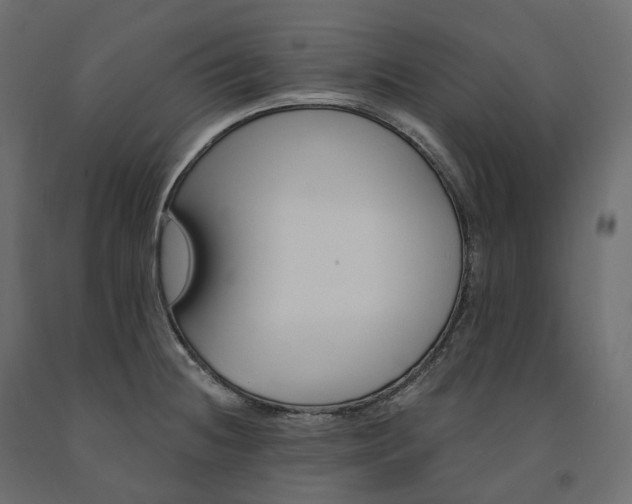 X0000091561236200708241809