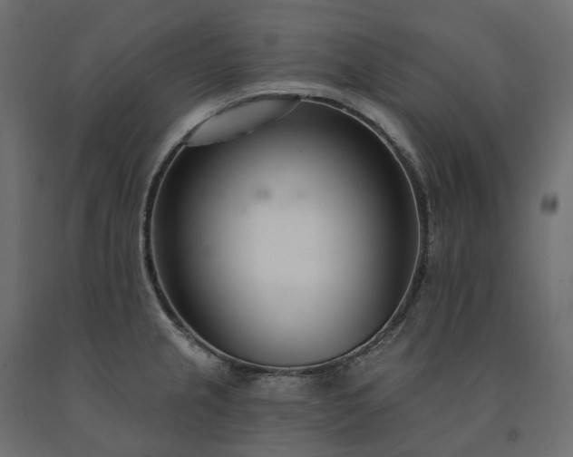 X0000091561237200708241809