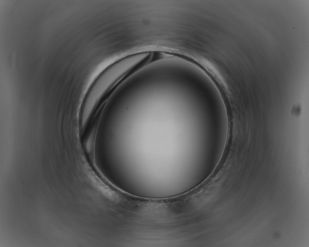 X0000091561238200708241809