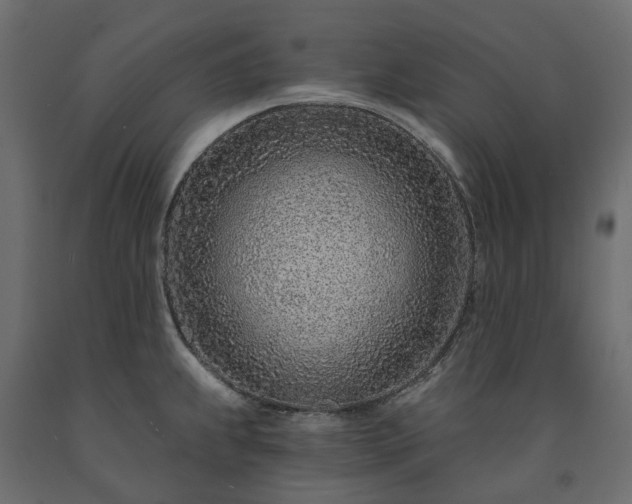 X0000091561239200708241809