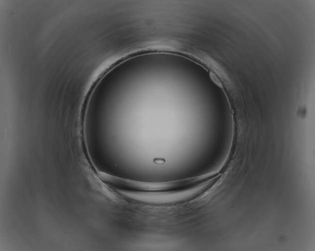 X0000091561240200708241809