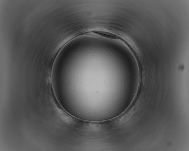 X0000091561241200708241809