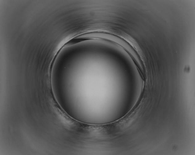 X0000091561242200708241809