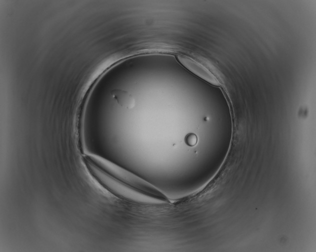 X0000091561243200708241809