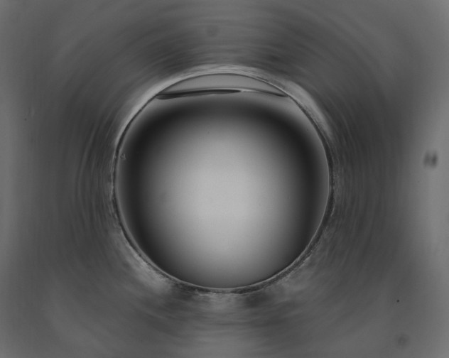 X0000091561244200708241809