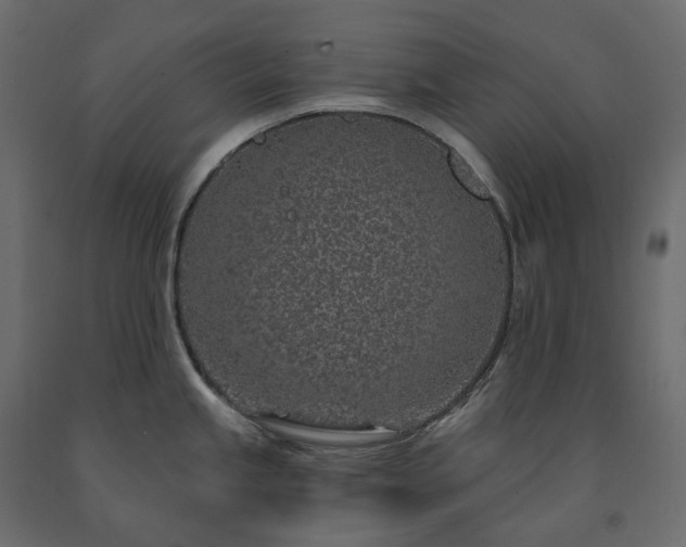 X0000091561245200708241809