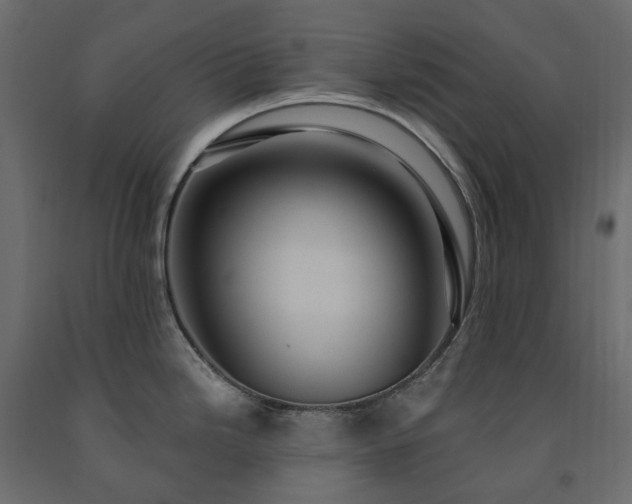 X0000091561246200708241809