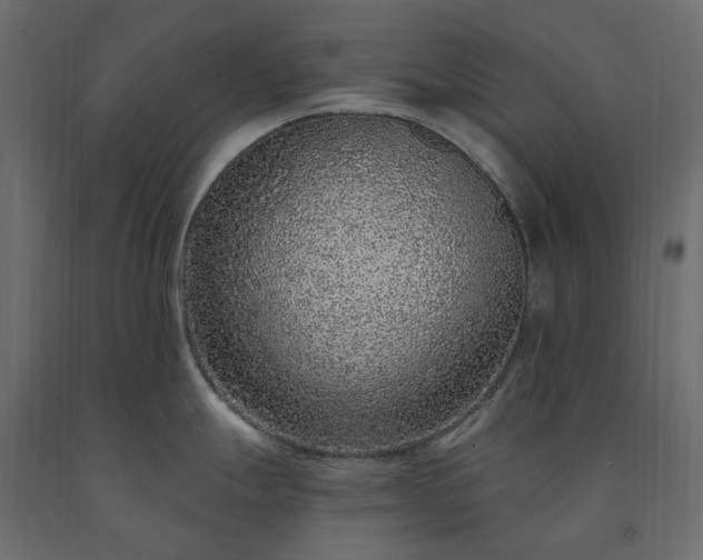 X0000091561247200708241809