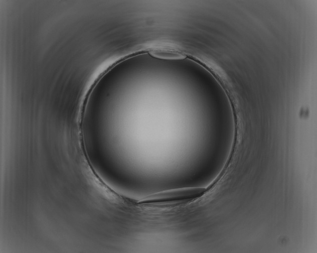 X0000091561248200708241809