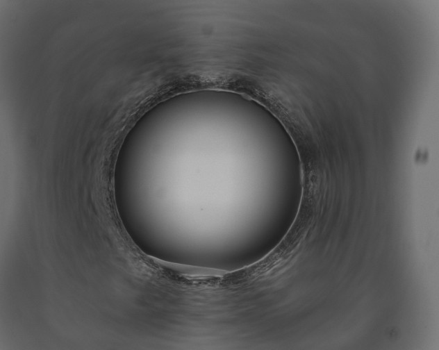 X0000091561249200708241808