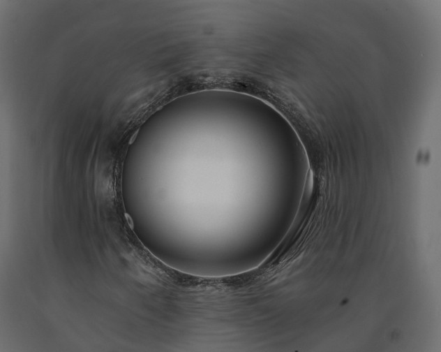 X0000091561250200708241808