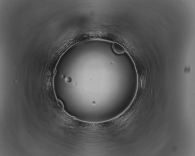 X0000091561251200708241808