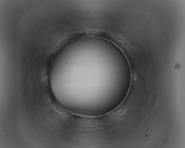 X0000091561252200708241808