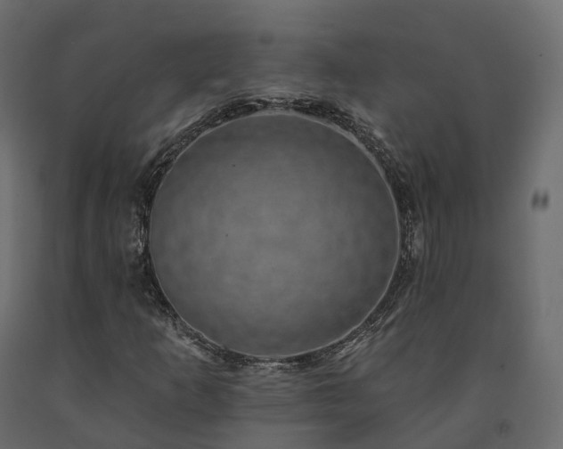 X0000091561253200708241808