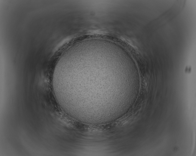 X0000091561254200708241808