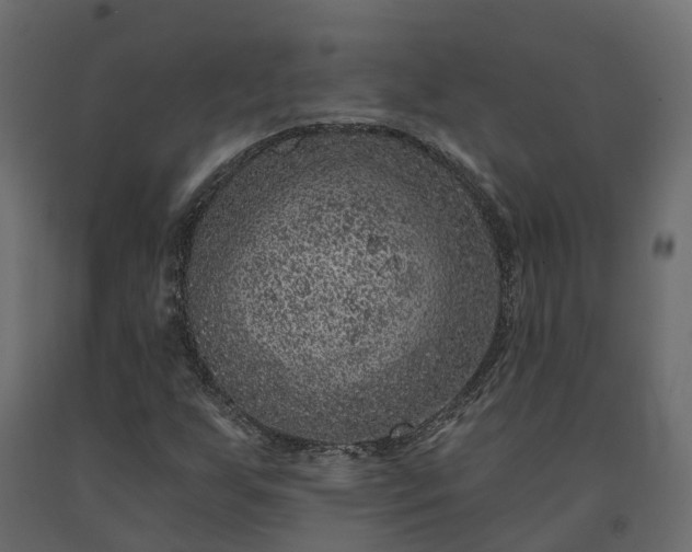 X0000091561255200708241808