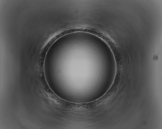 X0000091561256200708241808