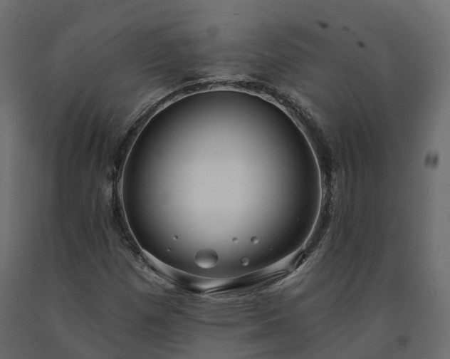 X0000091561257200708241808