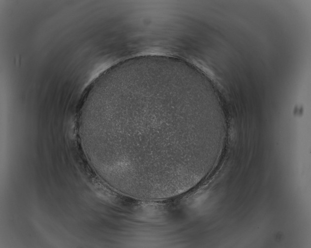 X0000091561258200708241808