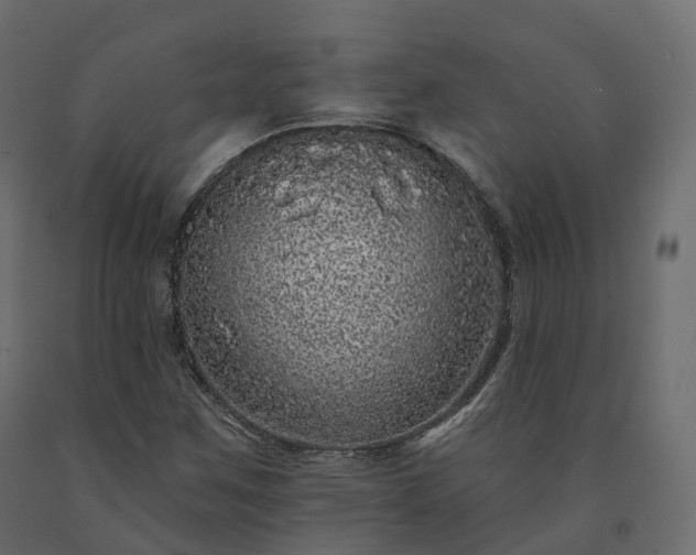 X0000091561259200708241808