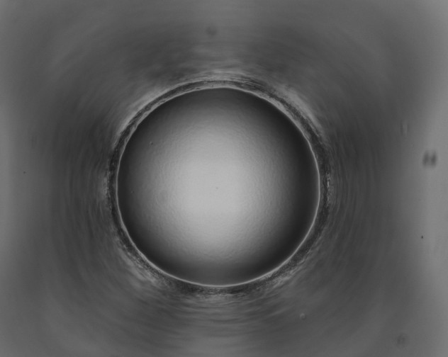 X0000091561260200708241808