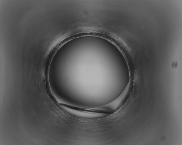 X0000091561261200708241808