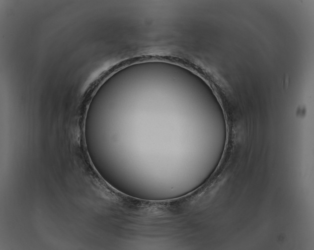 X0000091561262200708241808