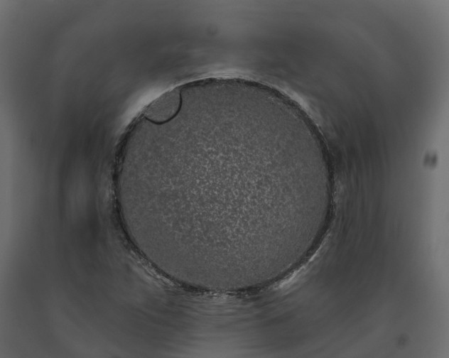 X0000091561263200708241808