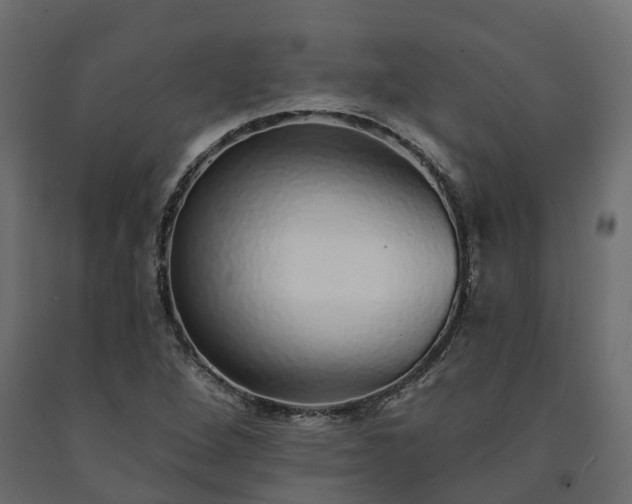 X0000091561264200708241808