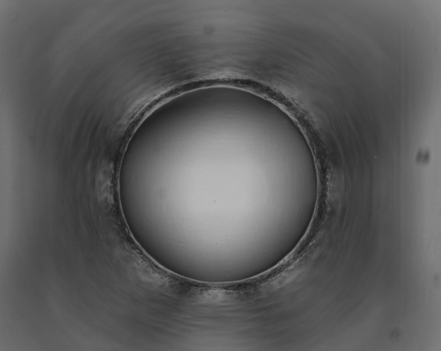 X0000091561265200708241808